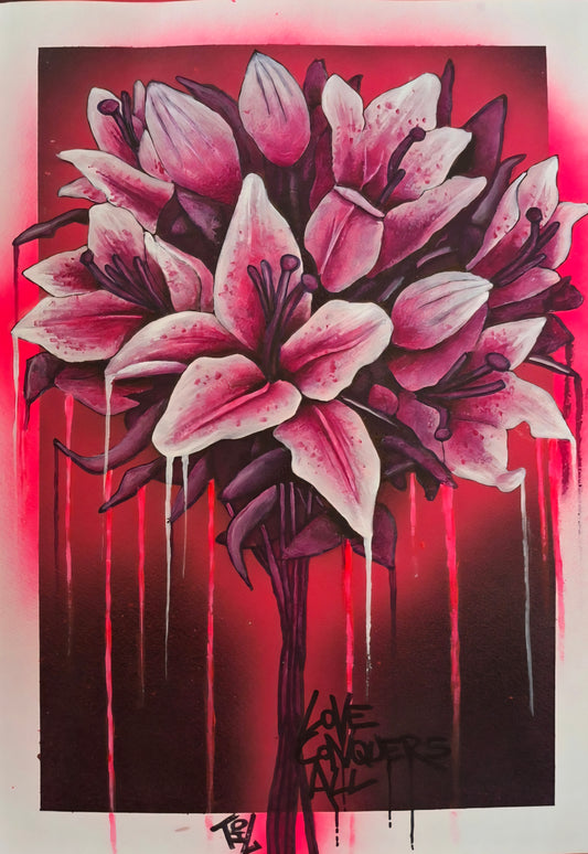 Star Gazer Lilies 